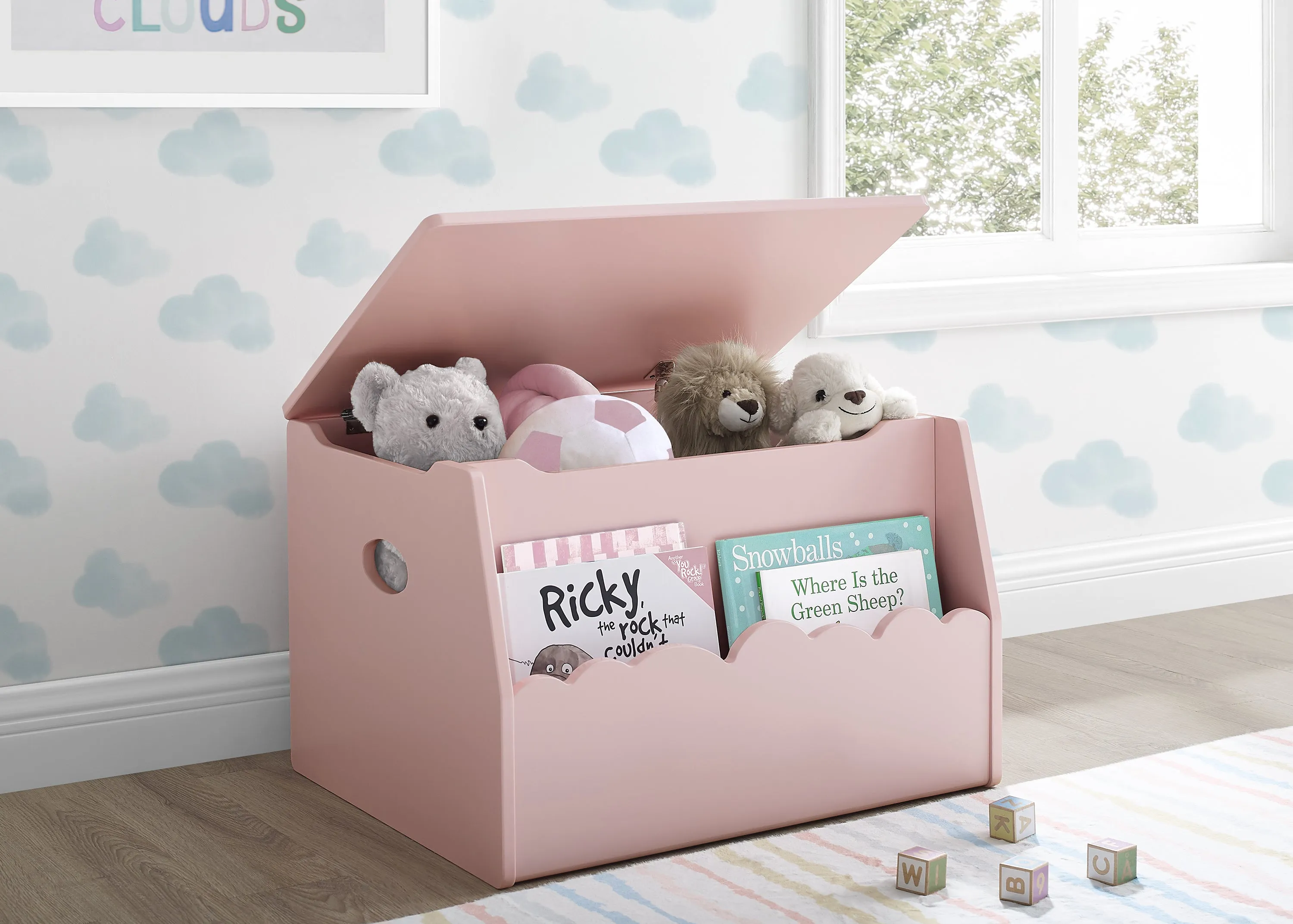 Cloud Toy Box