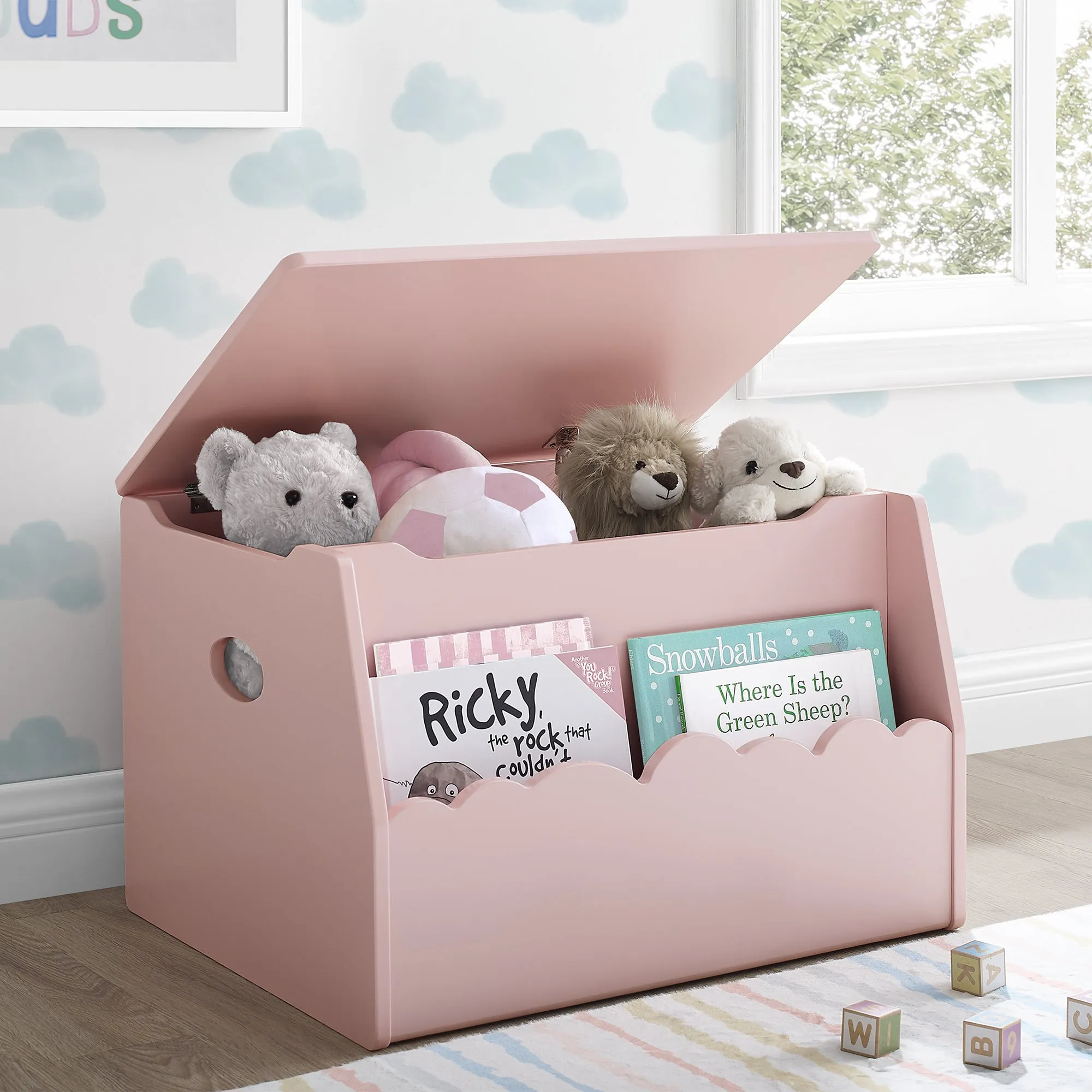 Cloud Toy Box