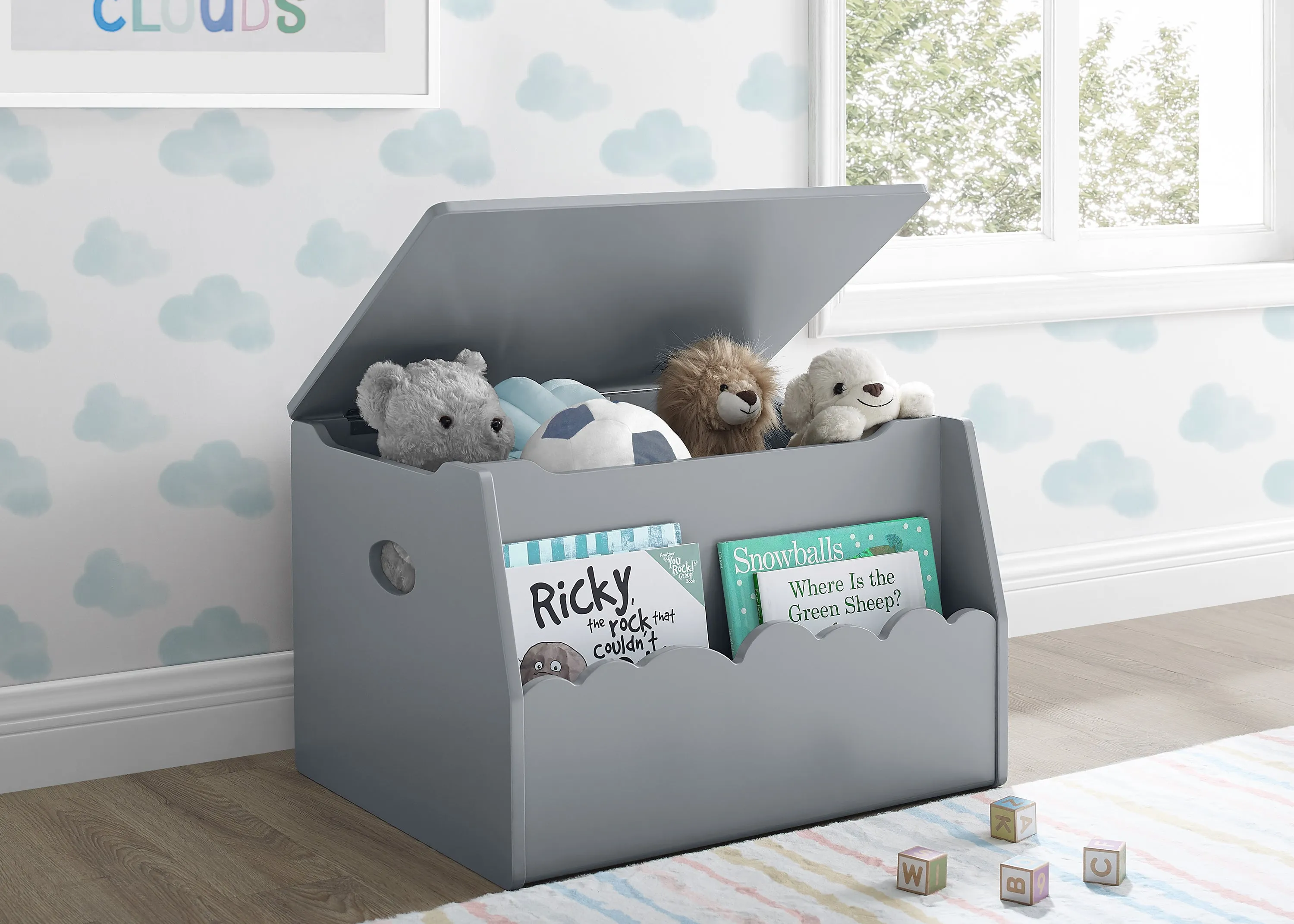 Cloud Toy Box