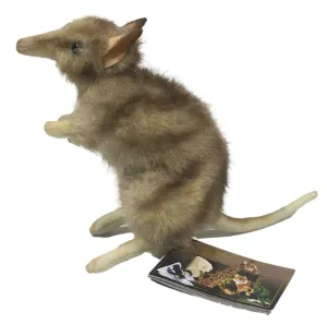 Eastern Barred Bandicoot Stuffed Animal Toy
