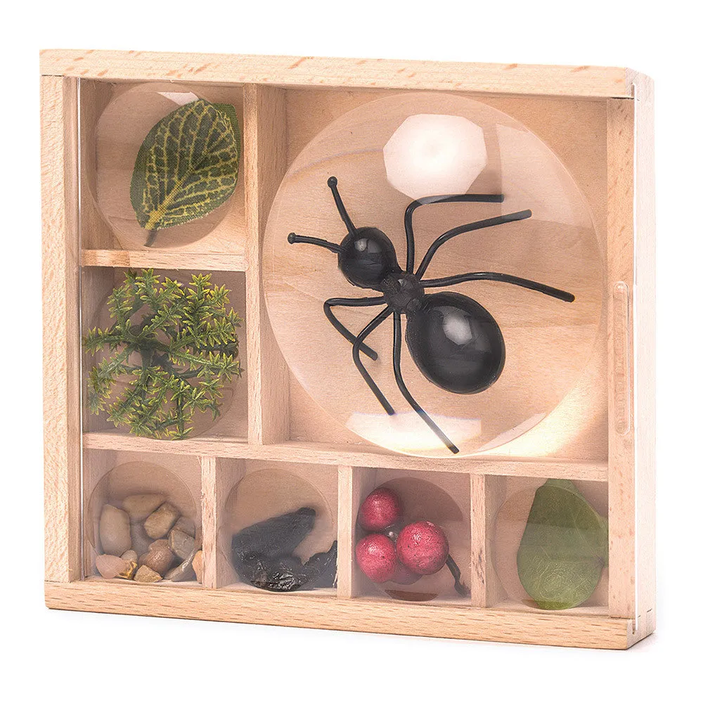 Kikkerland Wooden Bug Box for Nature Kids