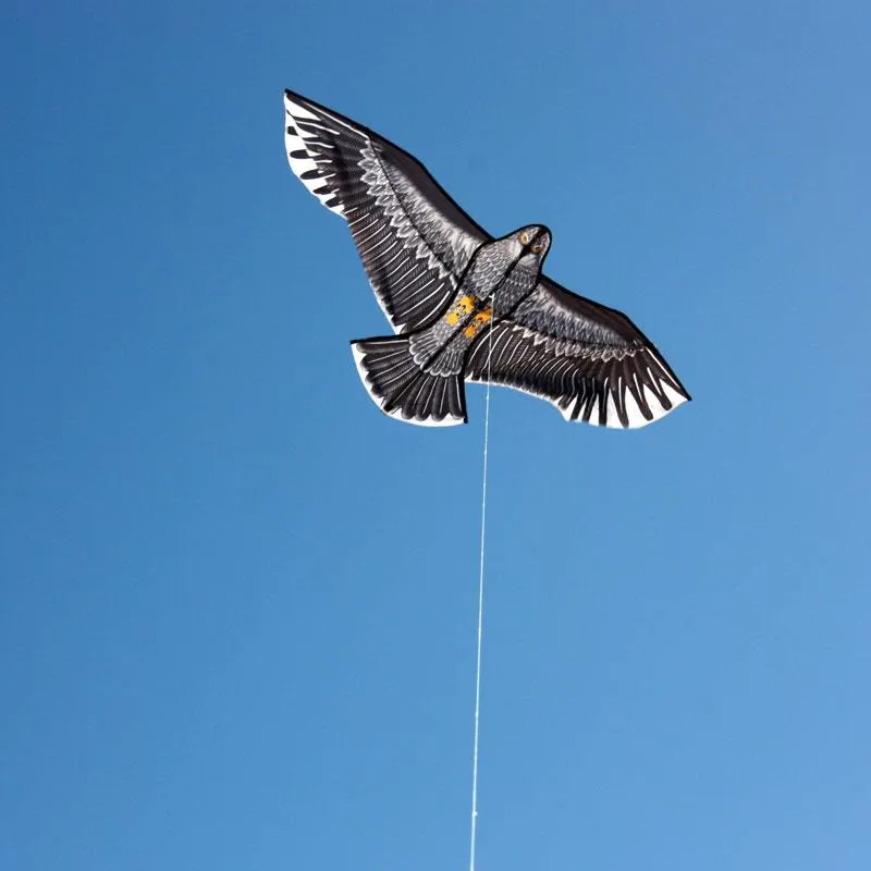 Windspeed Kites - Eagle Children's Kite