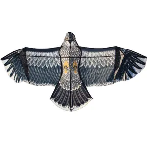 Windspeed Kites - Eagle Children's Kite